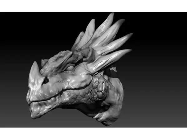 Dragon Head