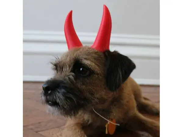 Devil Horns