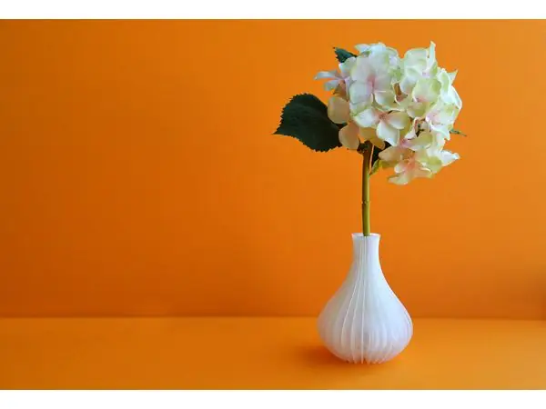 Vases