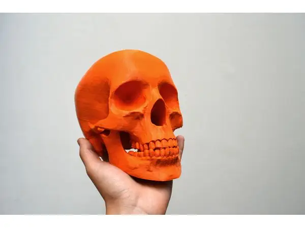 To Make or not to Make