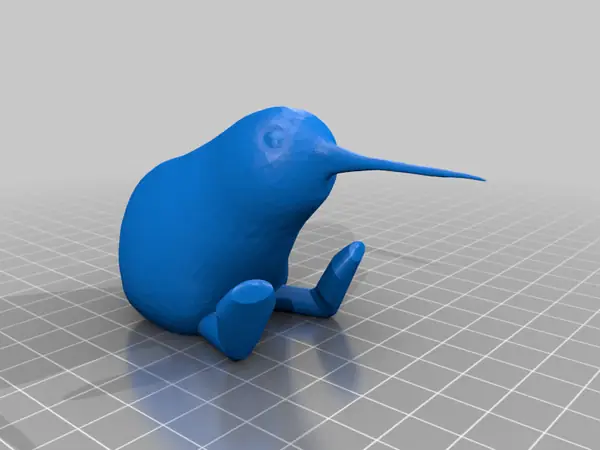 Kiwi Bird