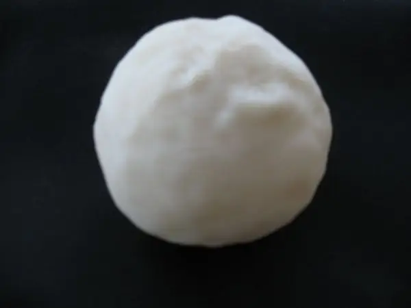 Asteroid Vesta