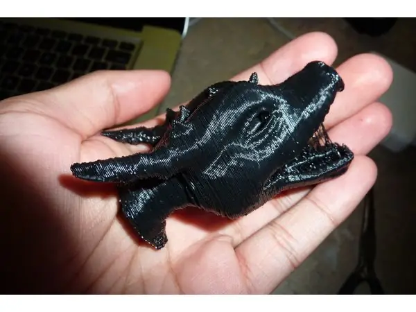 Dragon Head