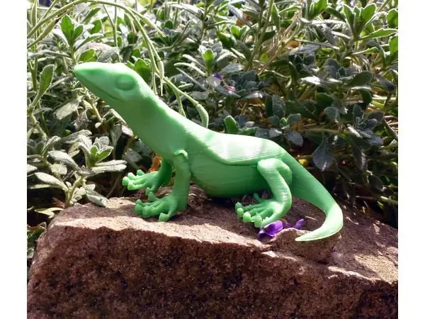 Little Lizard
