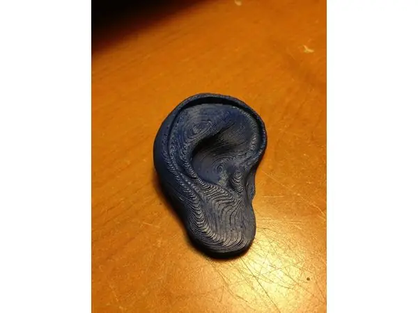 Ear