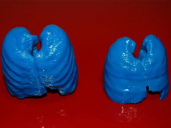 Free-diver Lungs