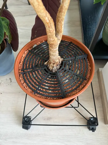 Blumentopf Schutz / Flowerpot protection