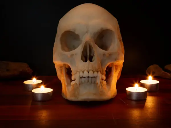 Vampir Totenkopf