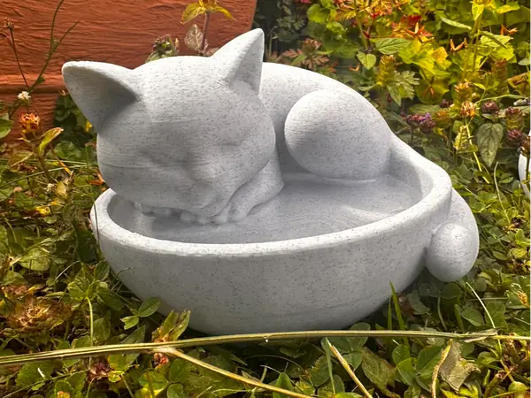 Schlafende Katze in Schale