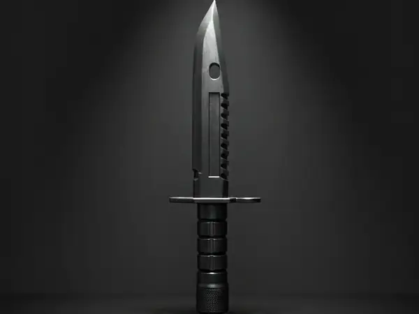 Bayonet Knife