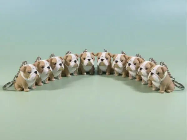 portachiavi bulldog inglese