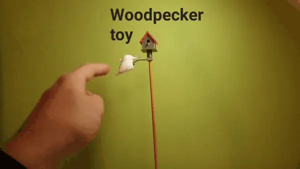 Woodpecker toy
