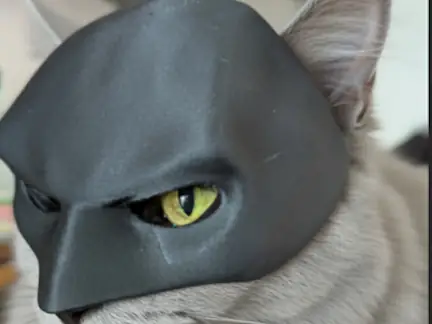 Cute Bat cat mask 