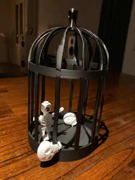 Crazy Cage