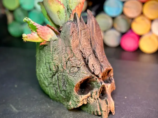 The Skull of Life Planter