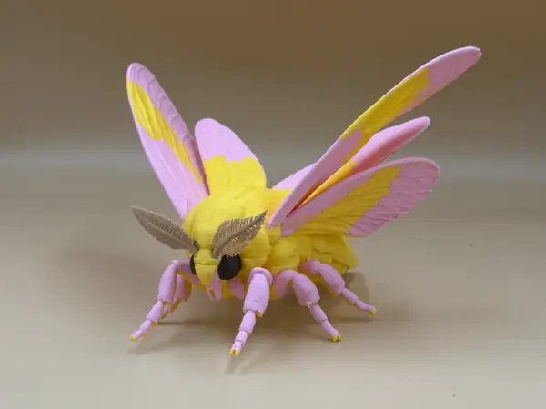 Rosy Maple Moth – Realistic Wildlife Model