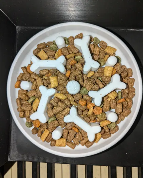 Slow Feeder Cat/Dog Bowl