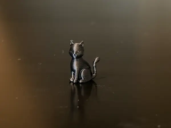 Worlds Smallest Black Cat