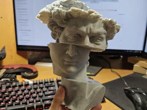 Sliding David Bust