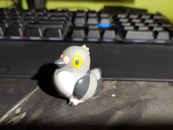 pidove pokemon