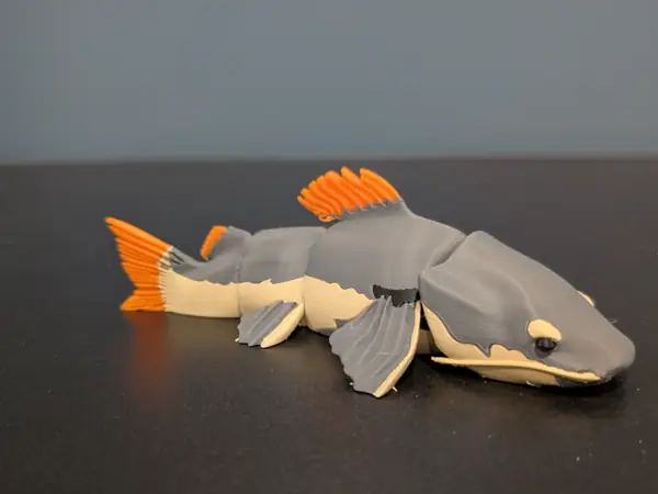 Redtail Catfish Flexi