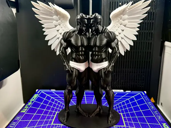 Loving Angels in Underwear