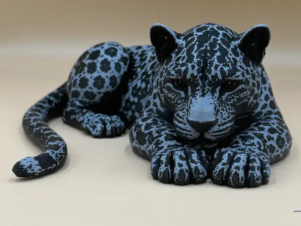 Midnight Majesty – Black Jaguar