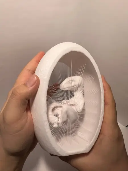 Raptor Embryo Suspended String Art