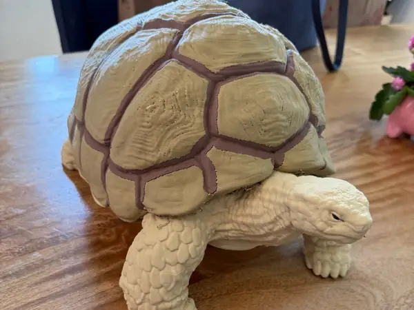Giant Tortoise - High Detail