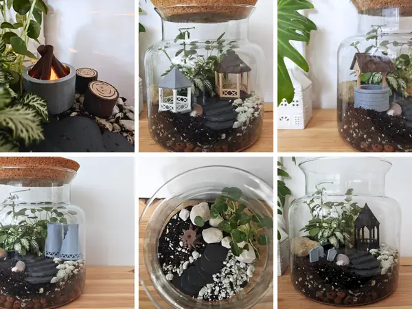Terrarium decorations