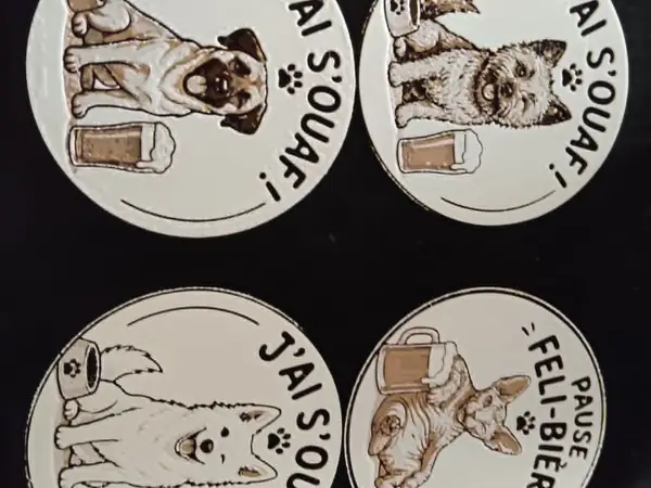 sous verres kangal bergerblanc suisse sphynx cairn