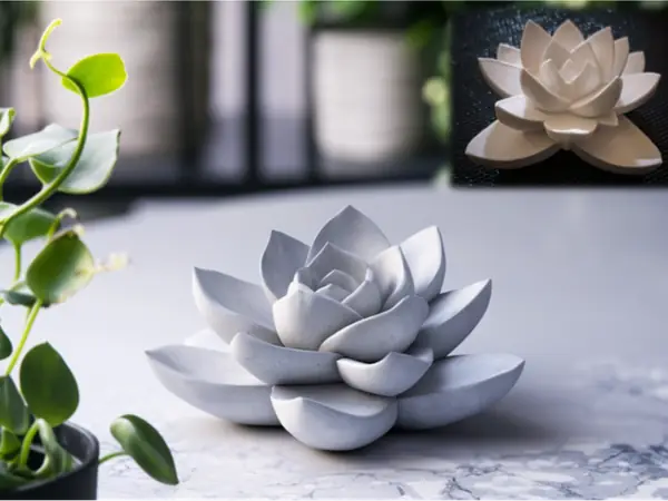Stone Succulent