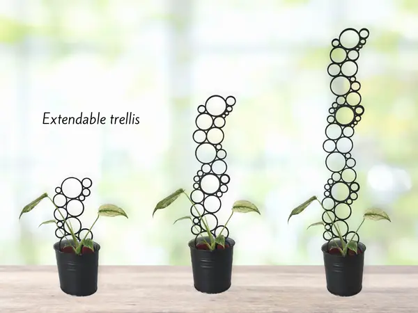 Extendable circle/bubble/ring trellis