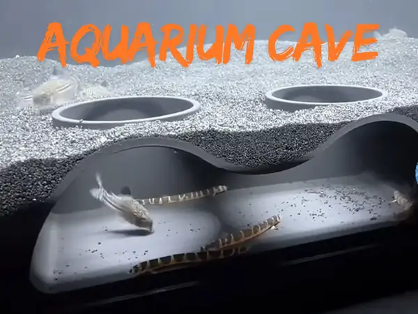 Aquarium Cave