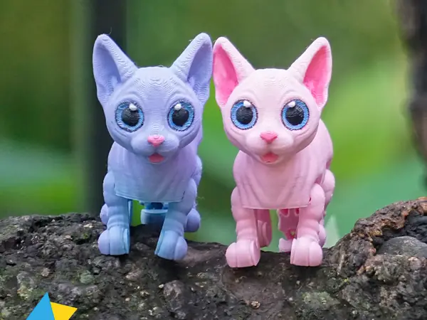 Sphynx cat no supports