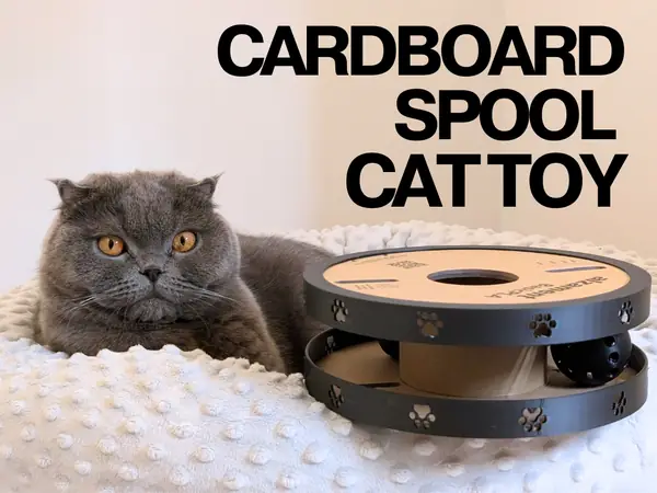 Filament Spool DIY Cat Dog Toy Treat Puzzle
