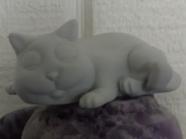 sleeping kitty