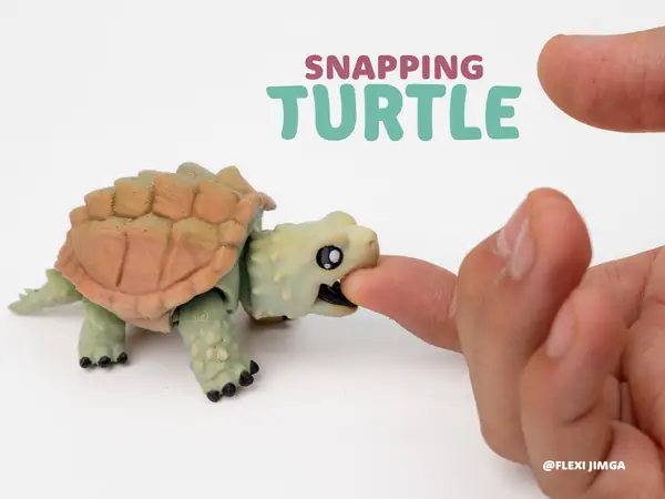 Flexi Alligator Snapping Turtle & Keychain