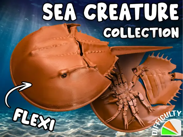 Sea Creature - Horseshoe Crab