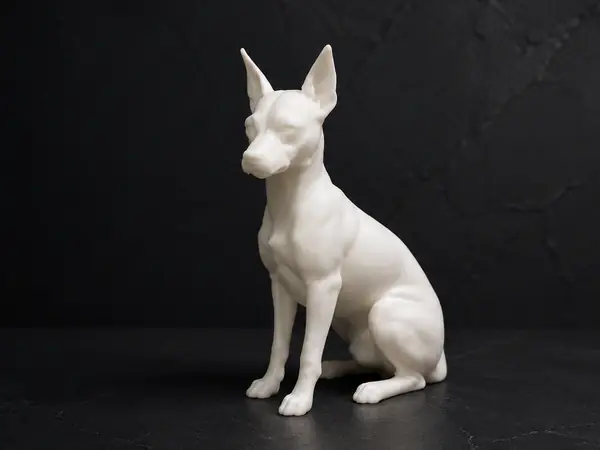 Miniature Pinscher - Dog - Animal 