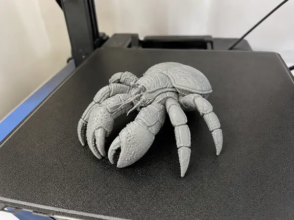 Coconut Crab Collectible STL