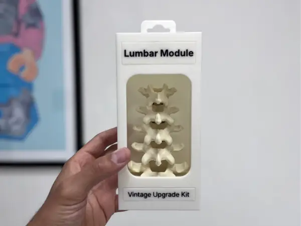Vintage Upgrade Kit Lumbar Module | Funny Gag Gift