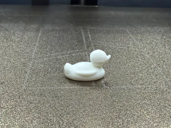 DUCK 10 MIN TEST PRINT
