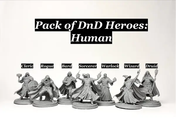 DnD Heroes Pack - Human