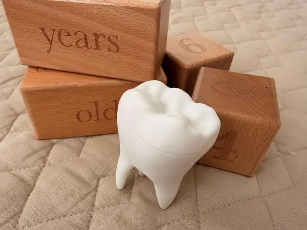 Tooth Fairy Molar Money Box