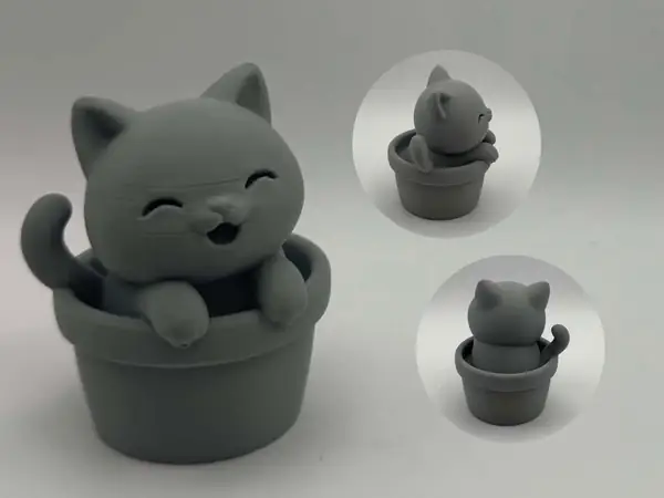 Potted Paws Cat