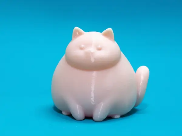 Cute Chonky Cat