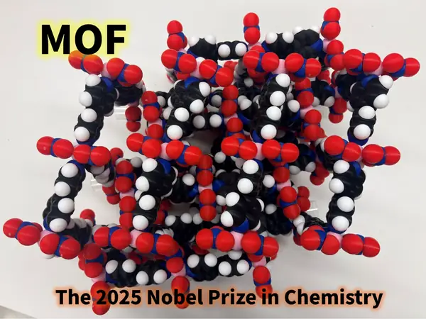 Metal Organic Framework Molfidget Prof. Kitagawa