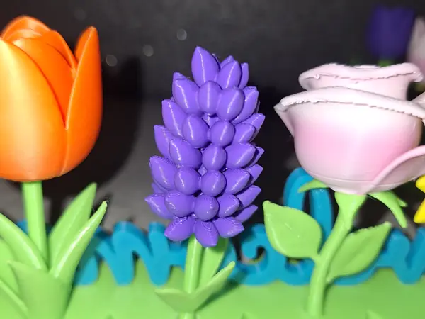 lavanda