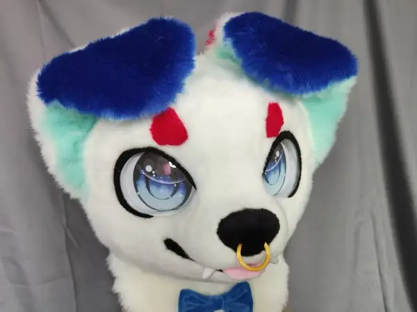 犬科兽装头骨